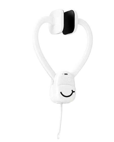 Cat Toy
